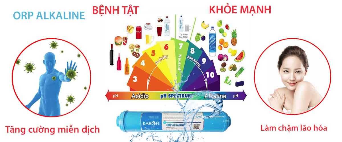 Tác Dụng Của Nước Kiềm Tươi Đối Với Cơ Thể