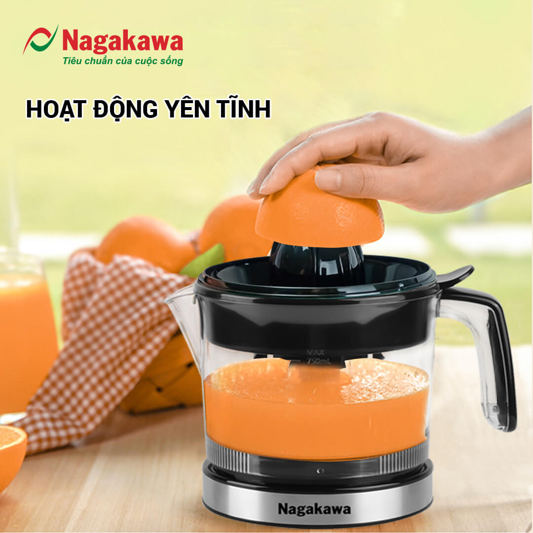 Hoạt động yên tĩnh