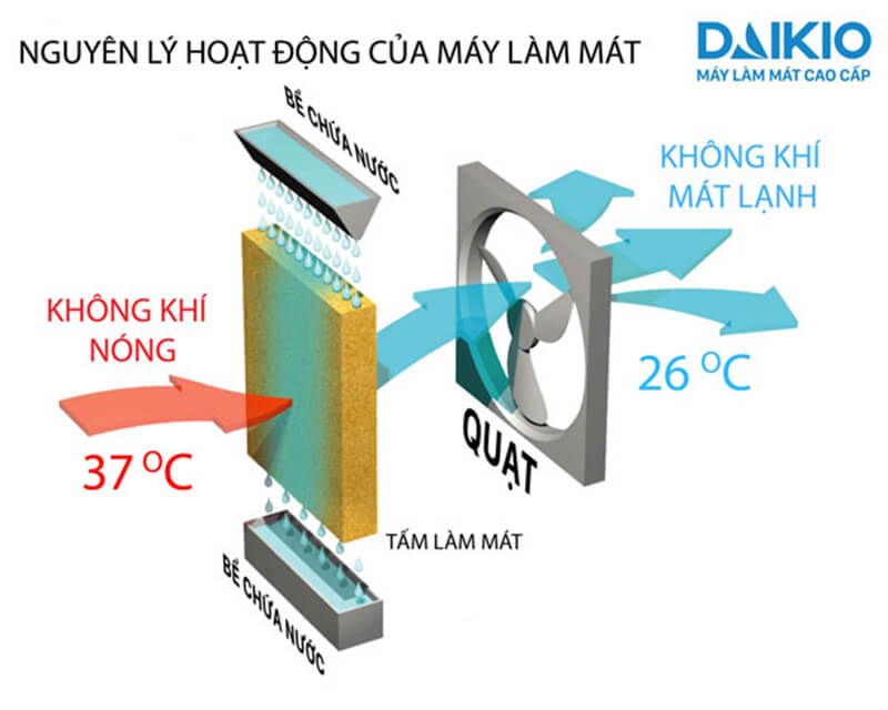 Nguyên lý hoạt động của máy