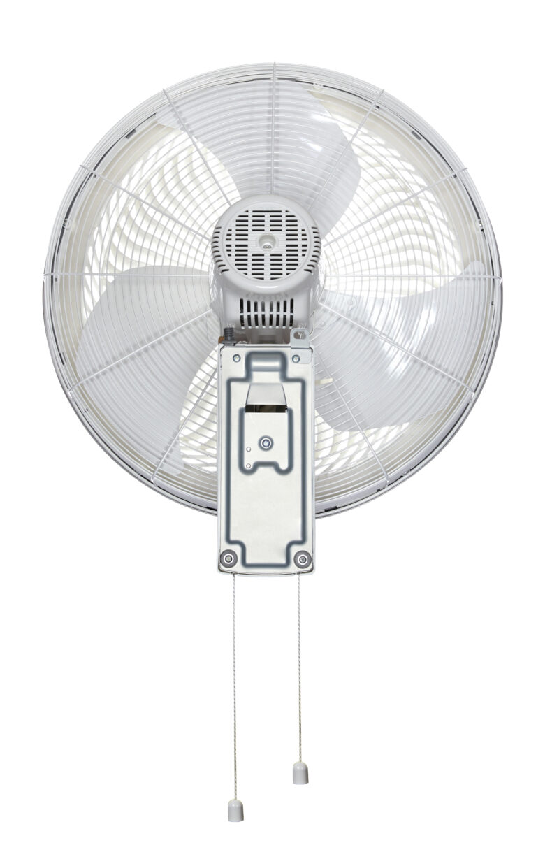 Thiết kế treo tường tiết kiệm không gian