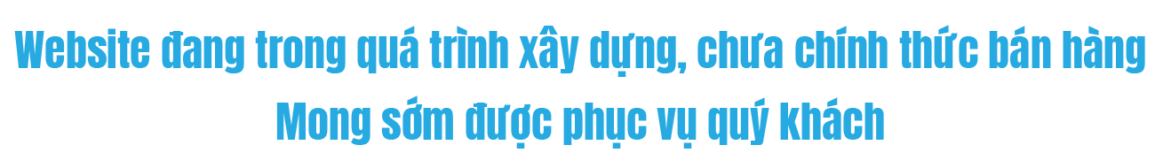 banner-website